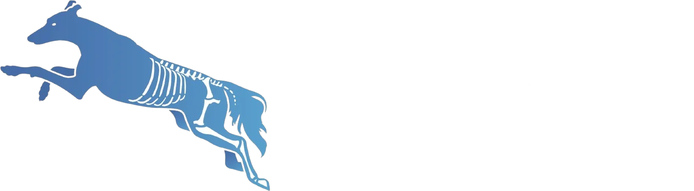 Apollo Animal Physio